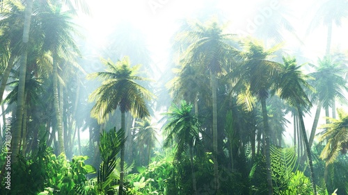 Jungle in the fog, palm trees in the haze, morning jungle