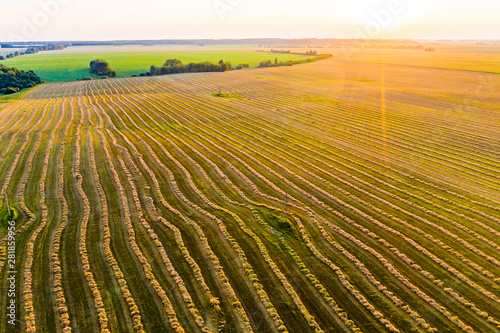 Harvest concept. Straw lines on farmland, aerial landscape. Rural scenery © korsarid