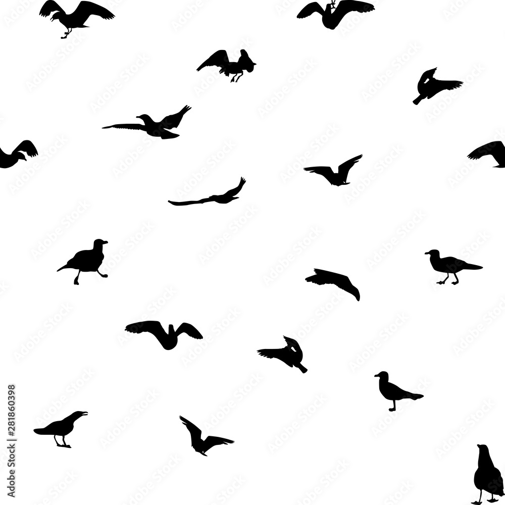Set of different gull silhouettes. Flying, eating, going, taking off. Seamless pattern.