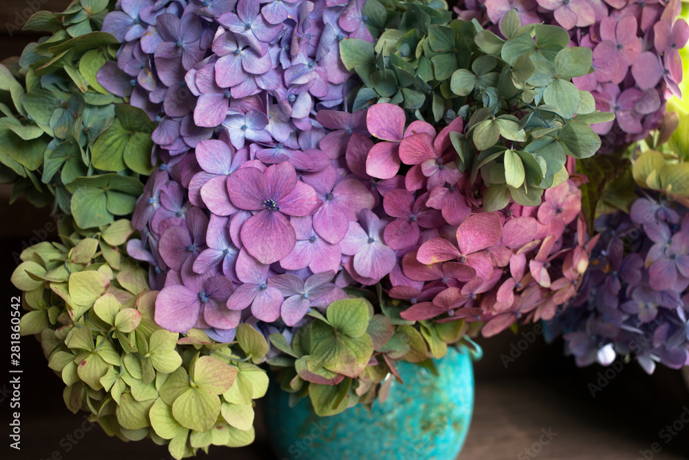 Bouquet of colored hydrangea in a vase, fragment, close-up. - obrazy, fototapety, plakaty 