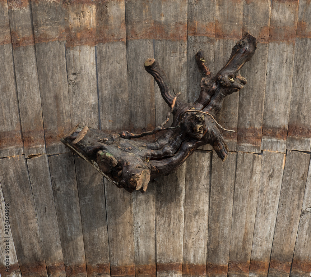 decorative knotted branch on a wooden background decorative knotted branch on a wooden background