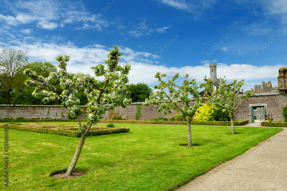 Obraz premium The towers and turrets of Ducketts Grove, a ruined 19th-century great house in County Carlow, Ireland.
