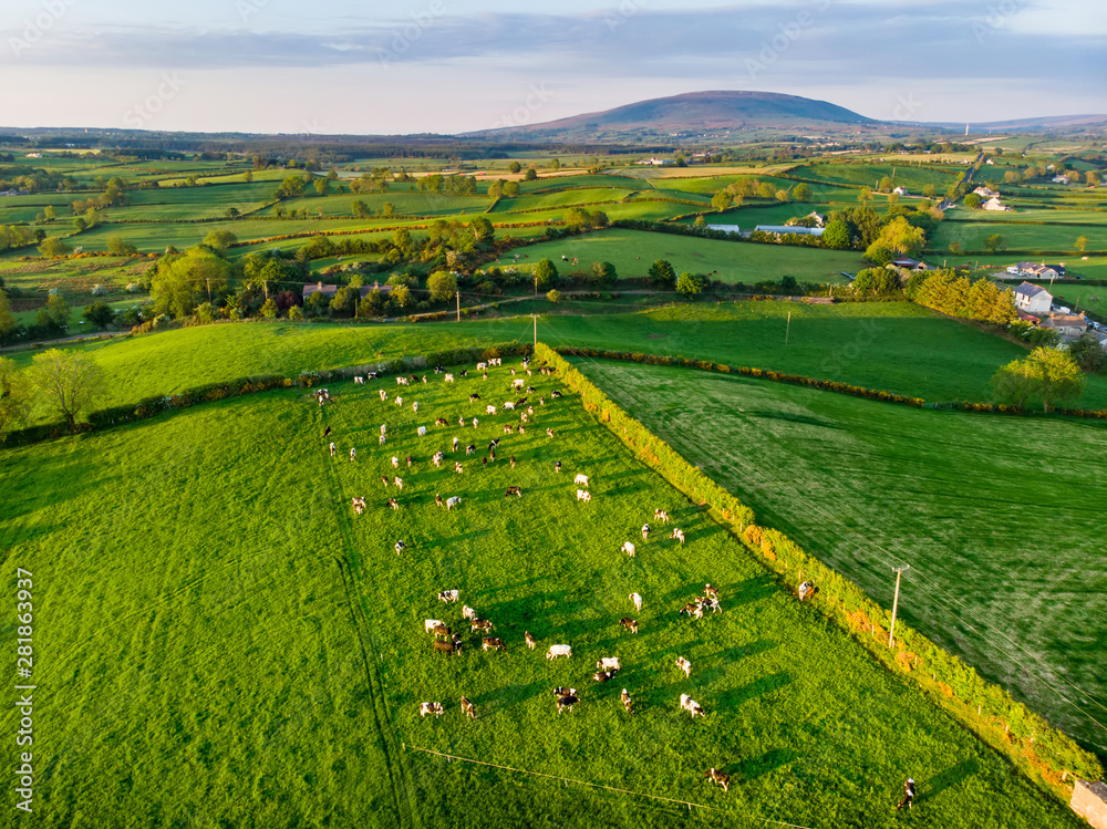 Aerial view of endless lush pastures and farmlands of Ireland. Beautiful Irish countryside with green fields and meadows. Rural landscape on sunset.