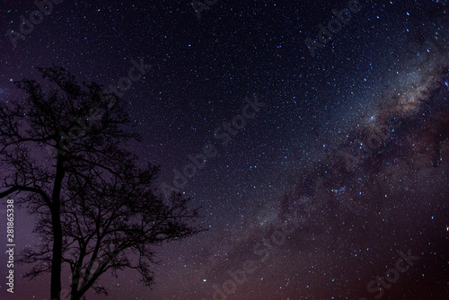 Blue-toned milky way with visible galactic center. Tree silhouette in the foreground.