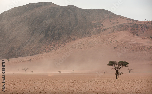 Namib Rand Reserve national park - waste and sparsely populated area at the end of the desert with acacia trees  during sandstorm photo