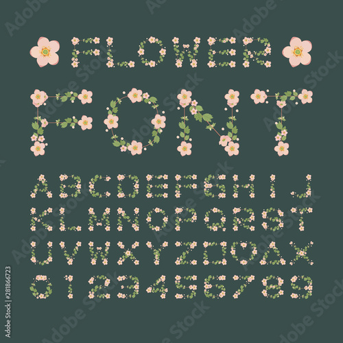 Isolated pink botanical flower font alphabet character with number and symbol, Vector floral wreath ivy style with branch and leaves.