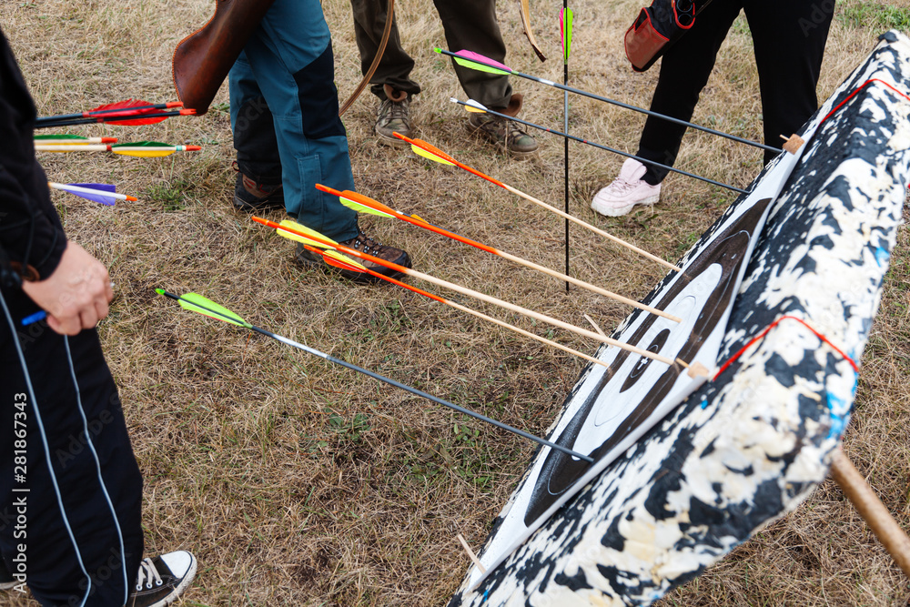 Field archery competitions. Several bow arrows hit and stick out in a