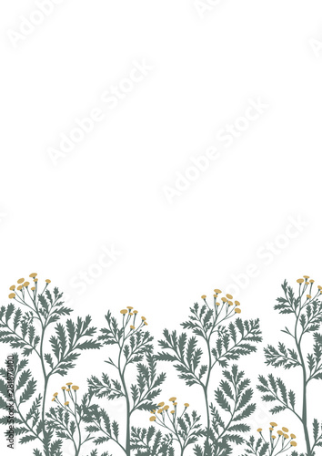 Vector botanical frame isolated on white. Floral drawing made of meadow flowers, foliage, stems, herbs and leaves. Nature illustration for postcard, card, invitation, greeting, placing text or phrase. © Galakam