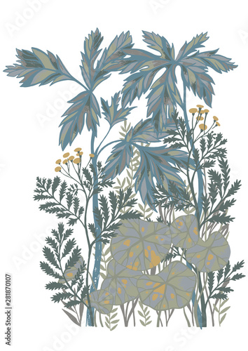 Vector botanical artwork. Floral pencil background made of meadow flowers, foliage, stems and leaves. Hand drawn nature illustration. Good for poster, card, banner, print.