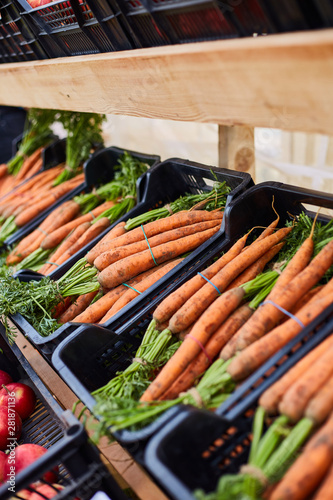 Fresh homegrown carrots  plant based food  local food  close up