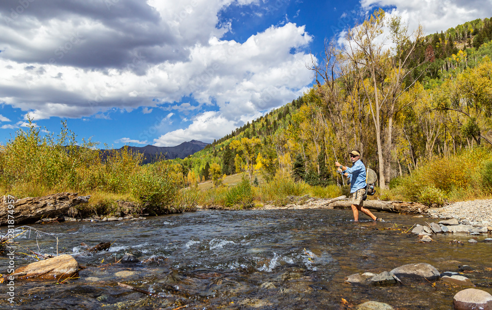 Fly Fisherman in action on Rocky Mountain stream Near Telluride, CO. Fly Fisherman in action on Rocky Mountain stream Near Telluride, CO.