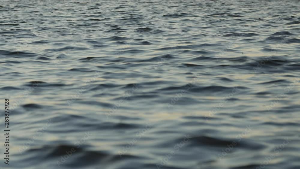 The peaceful water surface in a lake with small waves.Background footage, low depth of field. Real-time. The peaceful water surface in a lake with small waves.Background footage, low depth of field. Real-time.