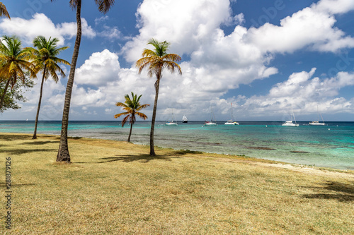 Fototapeta Naklejka Na Ścianę i Meble -  Saint Vincent and the Grenadines, Britannia bay beach, coconut palms, Mustique