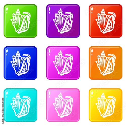 Rapan icons set 9 color collection isolated on white for any design