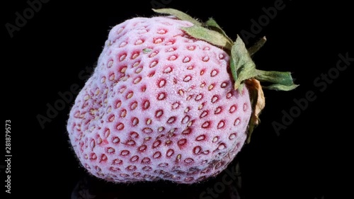 One fresh frozen strawberry on black glass with reflection. Black background, Rotation 360 degrees, Close-up photo