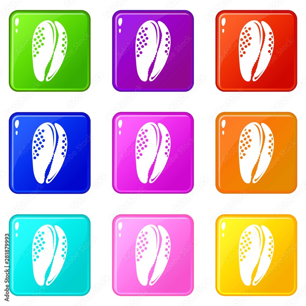 Aquatic shell icons set 9 color collection isolated on white for any design Aquatic shell icons set 9 color collection isolated on white for any design