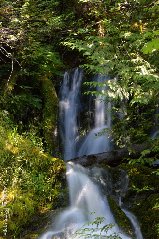 Olympic National Park, Washington