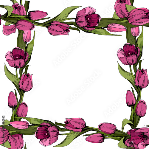 Frame with colored pink tulips. Poster. Spring mood. Vector illustration.