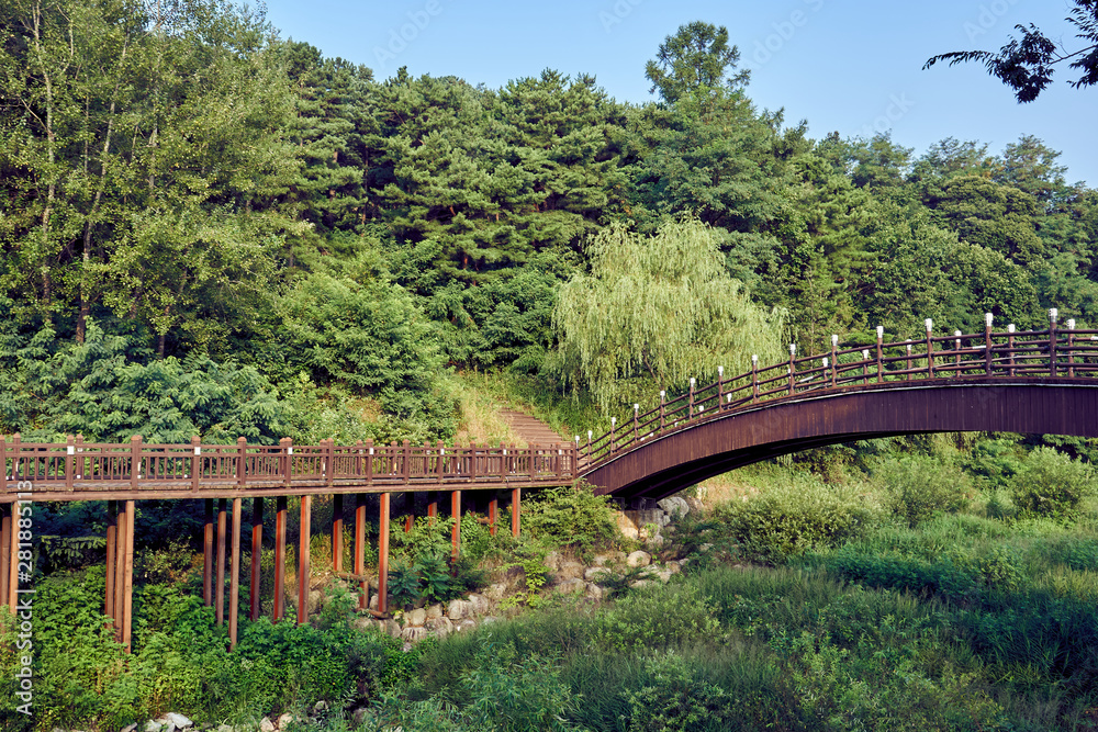 A view of wooden paths leading into the forest in Uirimji Reservoir at Jechun, South Korea.