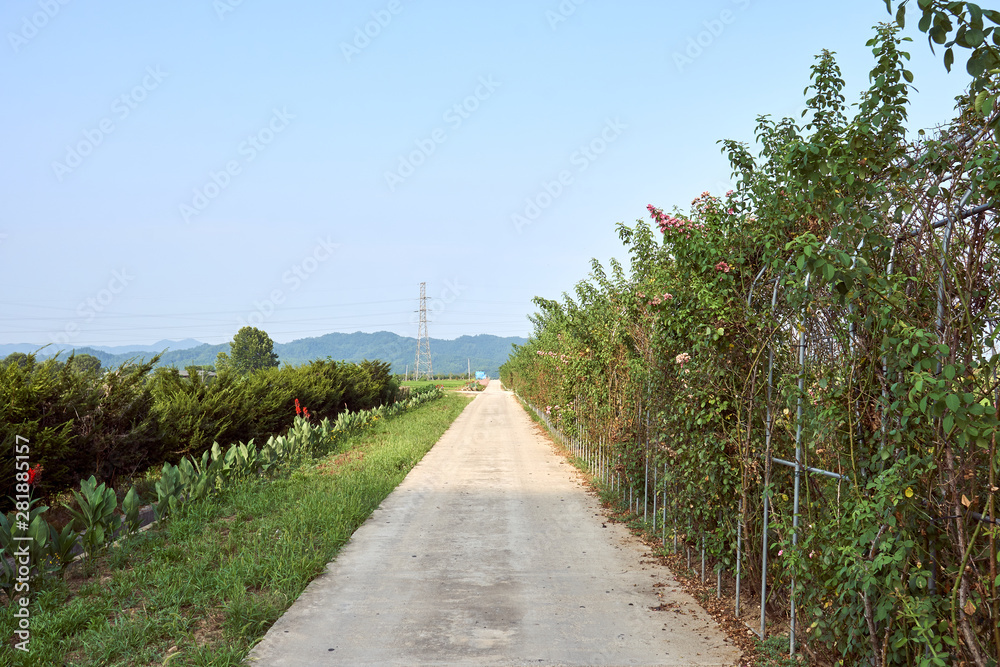 A view of the peaceful countryside with a road leading straight to the horizon in Jechun, South Korea.