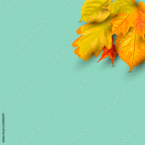 Autumn background with falling leaves. Place for text. Great for party invitation, seasonal sale, wedding, web, autumn festival, poster. Vector illustration.