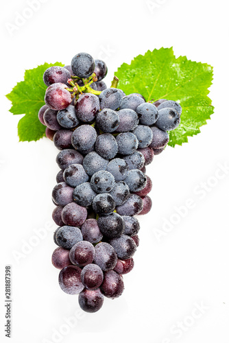 A bunch of fresh purple grapes