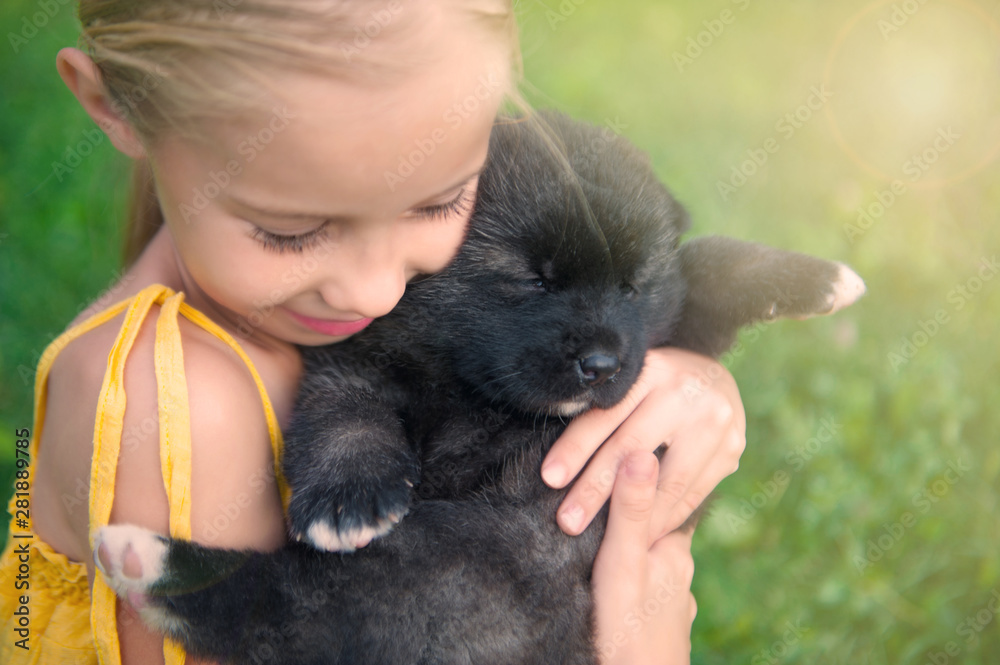 Small girl kissing a puppy of American akita dog on the grass. Close up portrait. Small girl kissing a puppy of American akita dog on the grass. Close up portrait.