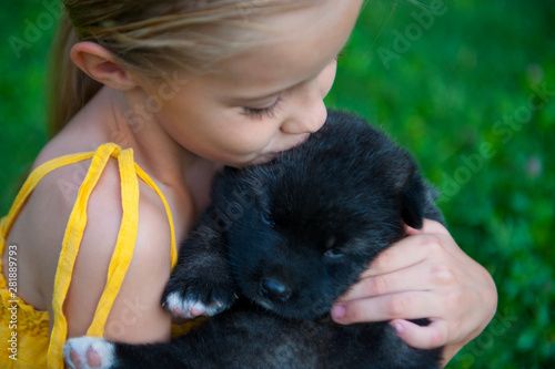 Small girl kissing a puppy of American akita dog on the grass. Close up portrait.