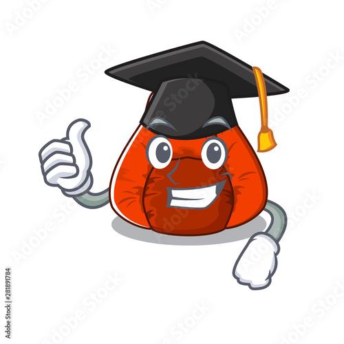 Graduation bean bag chair in a character
