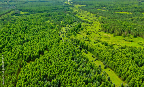 Aerial view of grass forest in mulan paddock © 鹏威 宋
