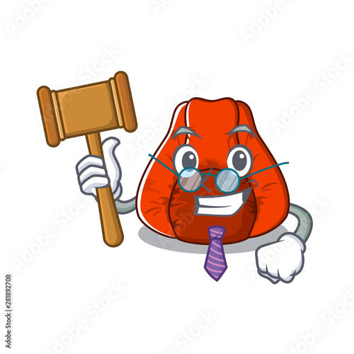 Judge bean bag chair isolated with mascot