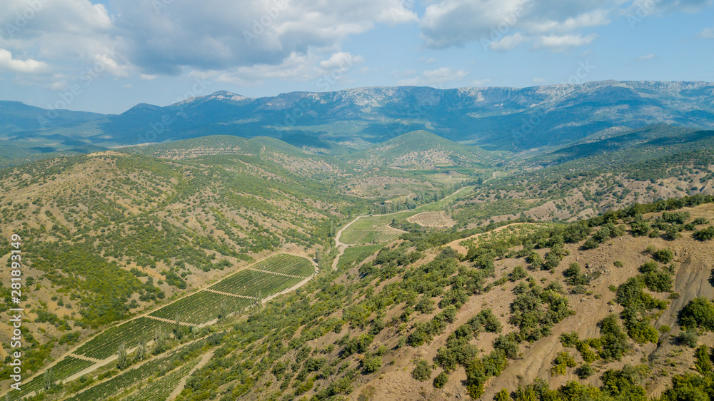 Crimea landscape: aerial view of vineyards in the lowlands of the mountain. Crimean vineyards.