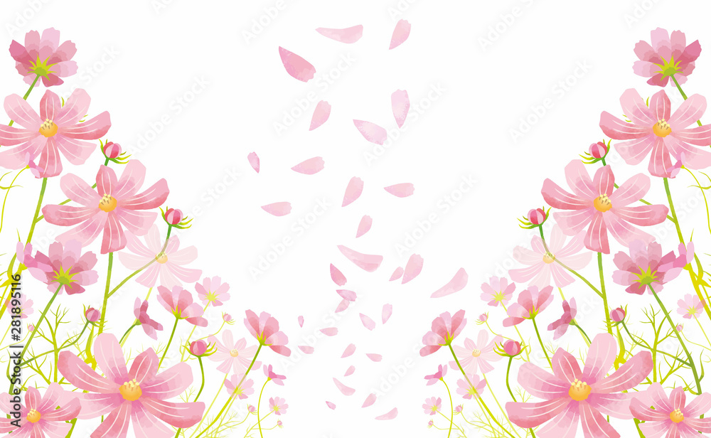 コスモス 背景 水彩 秋 花 背景 背景素材 満開 9月 10月 11月 ピンク 日本 和風 和 Stock Vector Adobe Stock