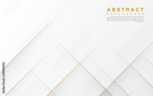 Fototapeta Naklejka Na Ścianę i Meble -  Modern abstract light silver background vector. Elegant concept design with golden line.