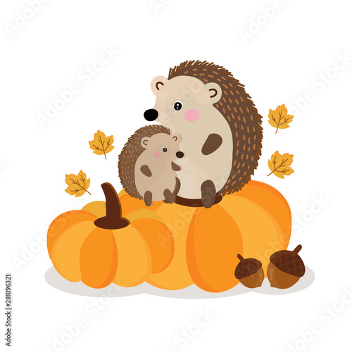 Cute hedgehog in the autumn.