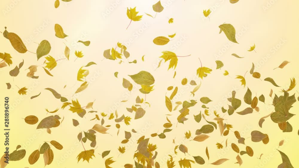 Green leaves dance in wind. Green leaves dance in wind.