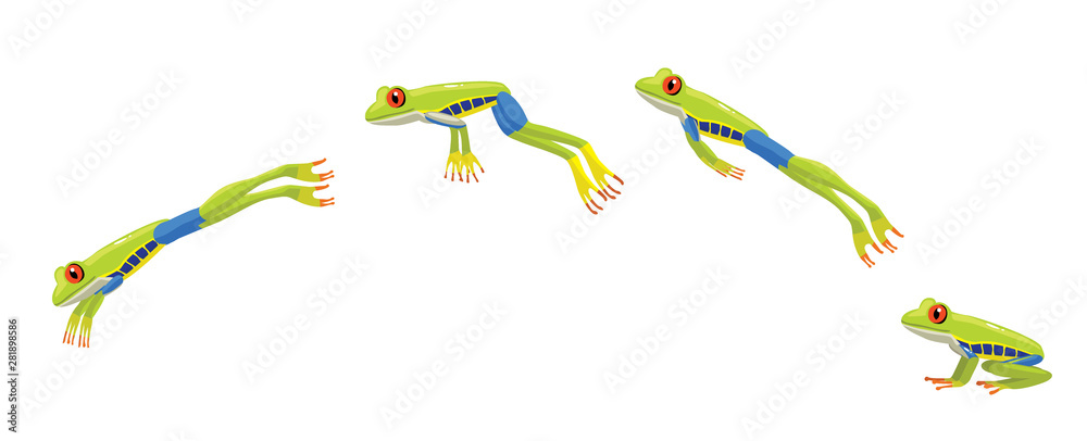 Red Eye Tree Frog Jumping Cartoon Vector Illustration Stock Vector | Adobe  Stock