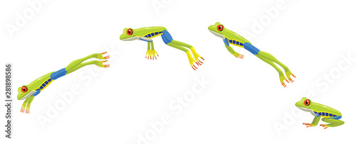 Red Eye Tree Frog Jumping Cartoon Vector Illustration