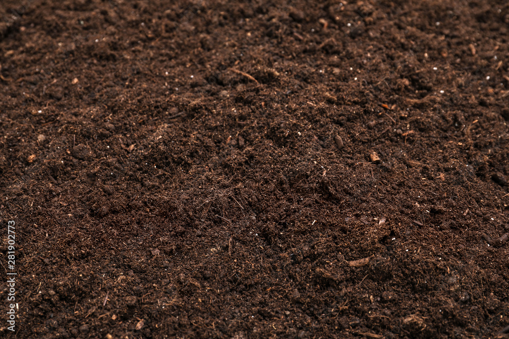 Fresh soil for gardening as background, closeup Fresh soil for gardening as background, closeup
