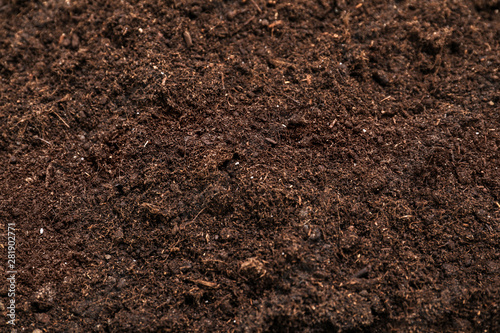 Fresh soil for gardening as background, closeup