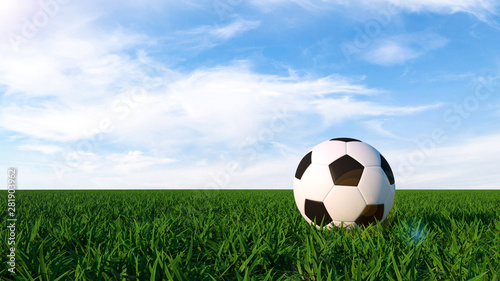 Soccer Ball On The Green Grass Field - 3D Illustration 