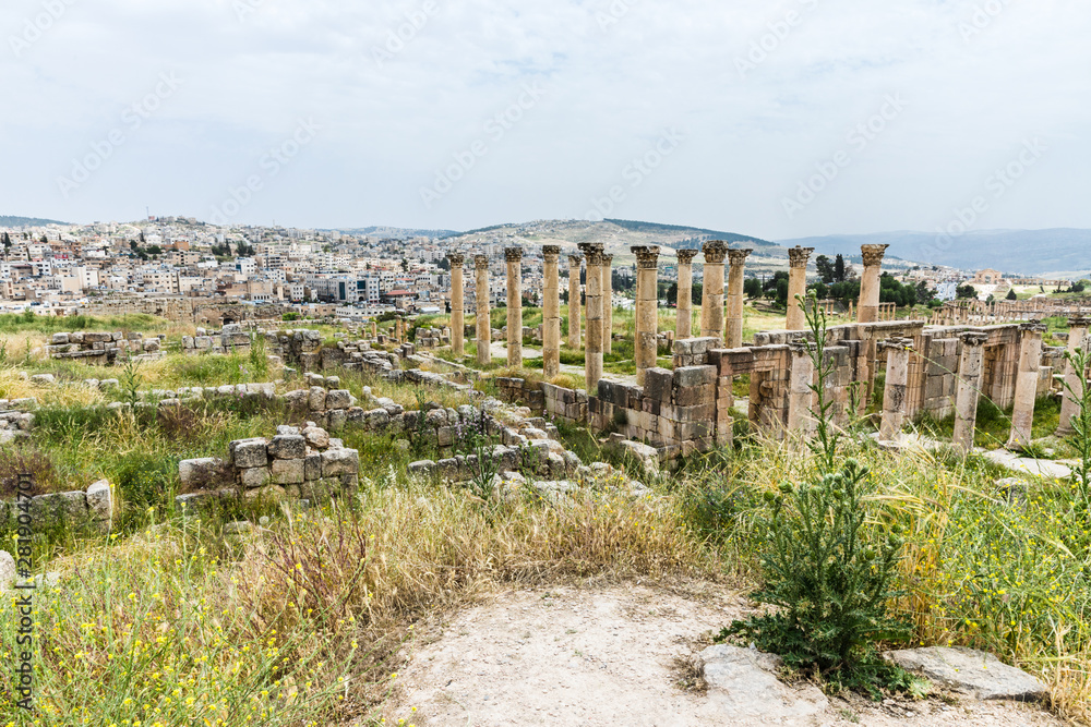 Jerash, the best preserved city of the early Greco-Roman era, it is the largest acropolis of East Asia, Jordan