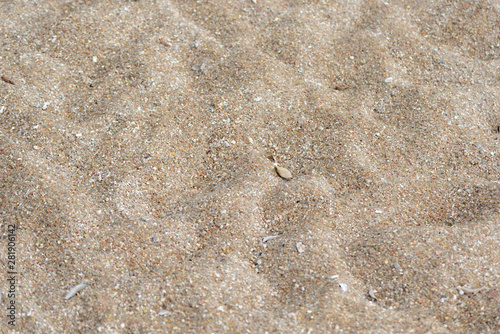 Texture of sand on the beach close up. Natural abstract background