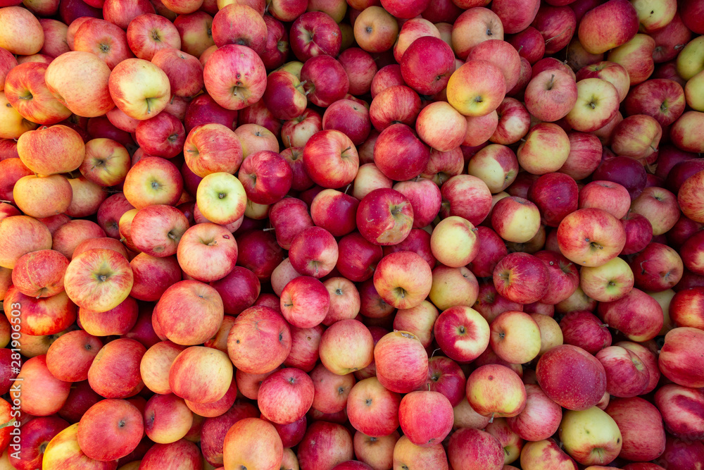 viele leckere reife Äpfel (Santana) auf einem Haufen viele leckere reife Äpfel (Santana) auf einem Haufen