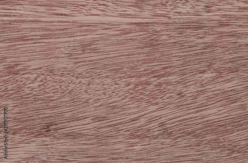 Wood texture background with surface old natural pattern
