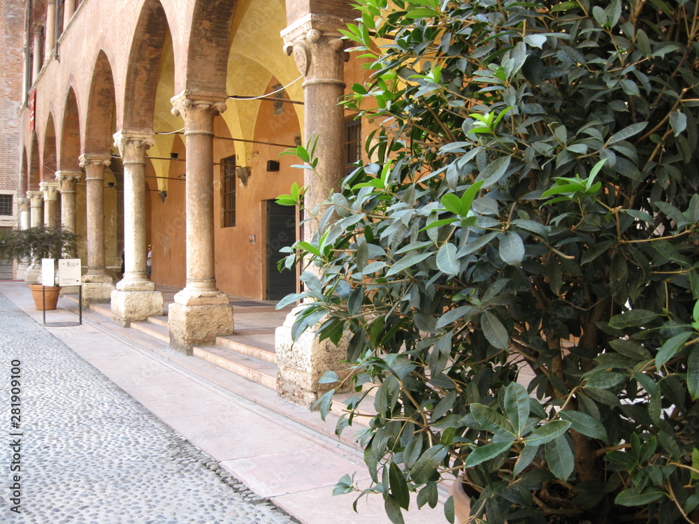 Obraz premium columns and a bush
