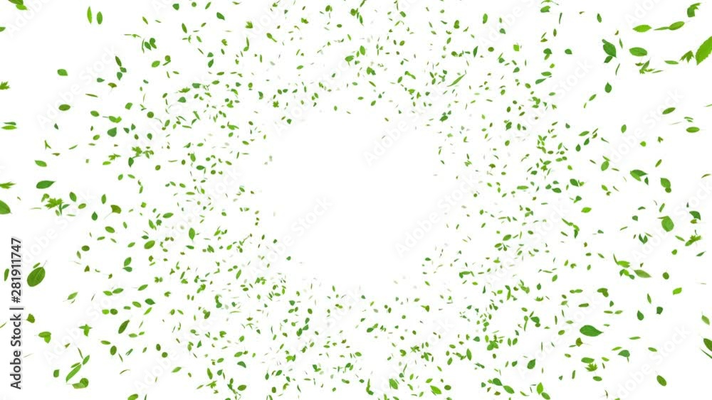 Green leaves dance in wind. Green leaves dance in wind.