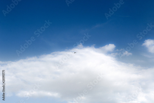 small lonely bird flying in blue sky