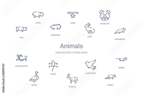 animals concept 14 outline icons