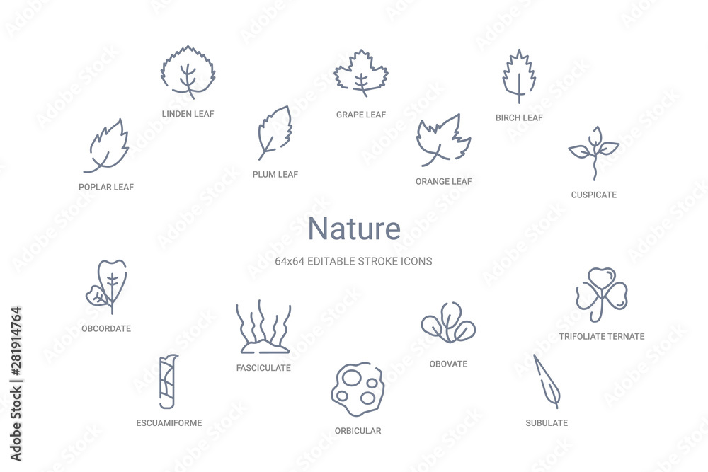 nature concept 14 outline icons nature concept 14 outline icons